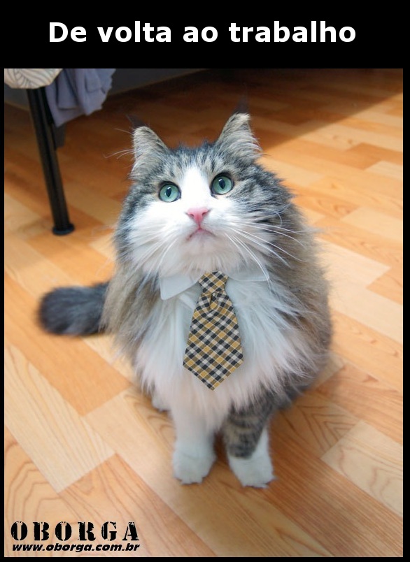 Quando o carnaval acaba