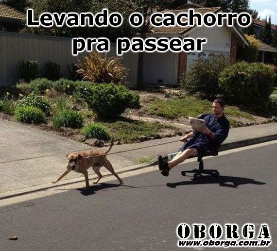 Passeando com o meu cachorro