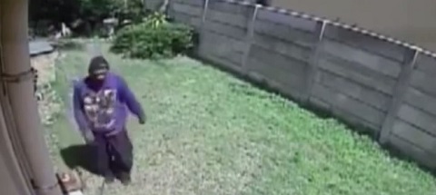 O verdadeiro cão de guarda